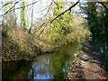 River Thames, west of Ashton Keynes in SN6 6QR