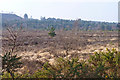 Town Common Heathland in BH23 2TF