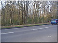 A30 verge, Wentworth in GU25 4NG