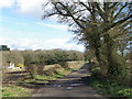 Warren Road near Bere Regis in BH20 7NP