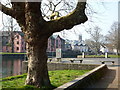 Steamer Quay and housing opposite on River Dart in TQ9 5QG