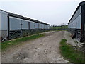 Sheds at Woolgarston in BH20 5JE
