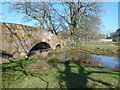 Bridge on the approach to Powderham Castle in EX6 8JE