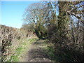 Footpath along a green lane above Lawnt near Denbigh in LL16 3NP