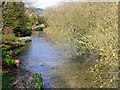 River Wylye, Longbridge Deverill in BA12 7DF
