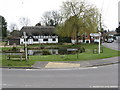 Oakley:  Village Pond in RG23 7HR