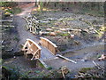 Another view of the new footbridge at Lamouth Creek in TR3 6AR