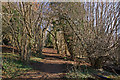 Footpath up Reigate Hill in RH2 9PF