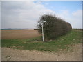 Junction of Gayton to Stenigot bridleway with the footpath to Donington on Bain in Donington on Bain