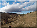 Weardale Way on slope above Rookhope Burn in DL13 2AG