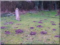 Molehills, Holy Trinity Churchyard in SP5 3SB