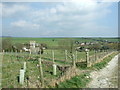 Cheselbourne Footpath and Church in DT2 7NL