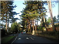 The lower part of Camden Park Road, Chislehurst in BR7 5EZ