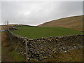 Enclosure by the Dales Way in Sedbergh and Kirkby Lonsdale Ward