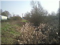 Overgrown drainage ditch at Veridion Park, Thamesmead in DA17 5FD