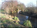 River Cray below Hall Place in DA5 1PN