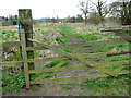 Gate on footpath along the River Yare, Postwick in NR13 5HH