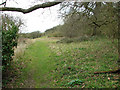 Footpath from Postwick Marshes to Thorpe St Andrew's in NR13 5HH