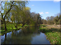 The River Kennet, Ramsbury in SN8 2PP