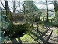 Bridge over Beck near High Wold House, Farndale in YO62 7UY
