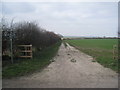 The bridleway to Gayton le Wold in Donington on Bain