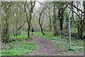 Junction of BUCK/72/1 bridleway with Bushnell's Green Road in RG7 6PG