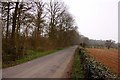 Road to Nuneham House in Nuneham Courtenay