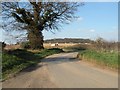 A country road, just north of Rushbrooke in IP30 0ES