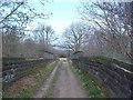 Railway Bridge on Blackergreen Lane in S75 4RD