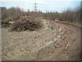 Lofthouse Colliery Nature Park, path improvements in WF3 3SN