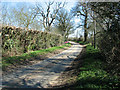View along Hethersett Lane, High Green in Great Melton