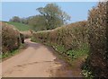Lane near Bolealler House in EX15 1RJ