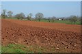 Ploughed field near Bolealler House in EX15 1RJ