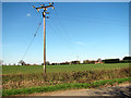 Cultivated field north of Melton Road in NR18 0GE
