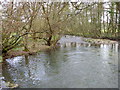 River Wylye, Quidhampton in SP2 9BA
