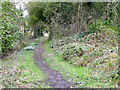 Footpath near Durley in SN8 3GP