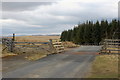 Cattle grid at Woll Rig road summit in TD7 4NZ