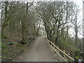 Footpath - Sykes Wood - Tong Lane in BD4 0RU