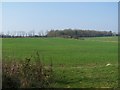 Fields southwest of Brickworth junction in SP5 2QE