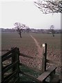 Footpath from M25 footbridge across fields towards Potters Bar in EN6 2DB