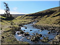 The River West Allen above Scaithole Mine in NE47 8AR