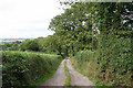 Cheriton Fitzpaine: track to Great Venn in EX17 4JU