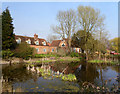 Pond in Marsh Baldon in OX44 9LW