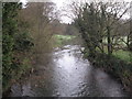 River Mole looking upstream in RH3 7LD