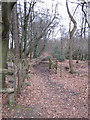 Footpath into Finlow Hill Wood in Over Alderley