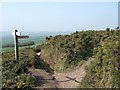 Footpath junction on West Down Beacon in EX9 6AH
