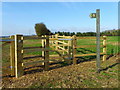 Kissing gate near Whittonditch in SN8 2XB