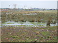 Boggy land near King's Lynn in PE30 3UW