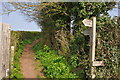 Holcombe : Coastal Path in EX7 0JG