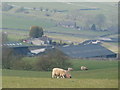 Looking over Stanlow Dale in Hazlebadge